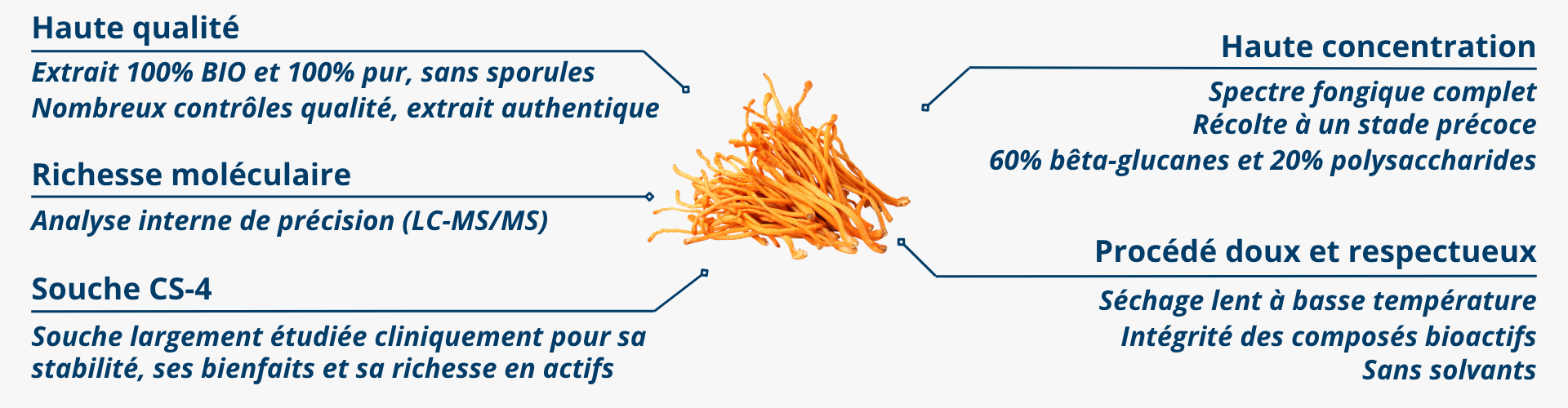 Les atouts du Cordyceps BIO Nutrixeal
